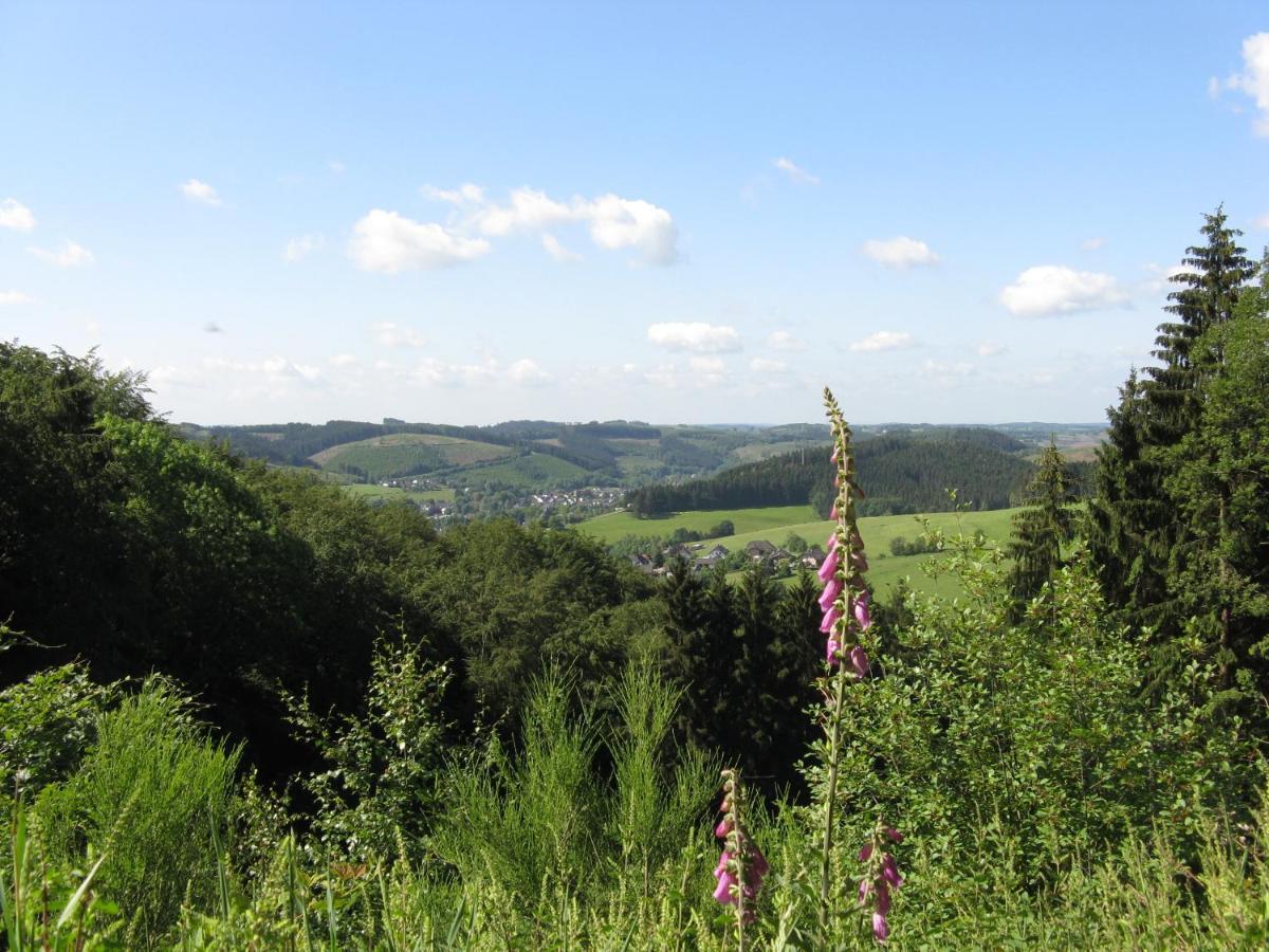 Urlaub Im Naturgarten Apartment Bergneustadt Екстериор снимка